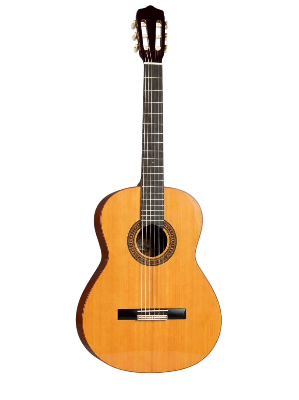 The Amber Resonance: A Study in Mahogany and Cedar