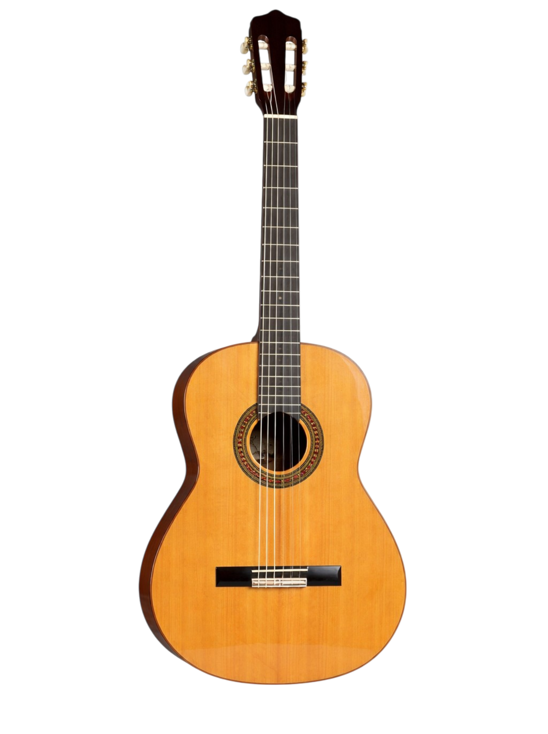 The Amber Resonance: A Study in Mahogany and Cedar