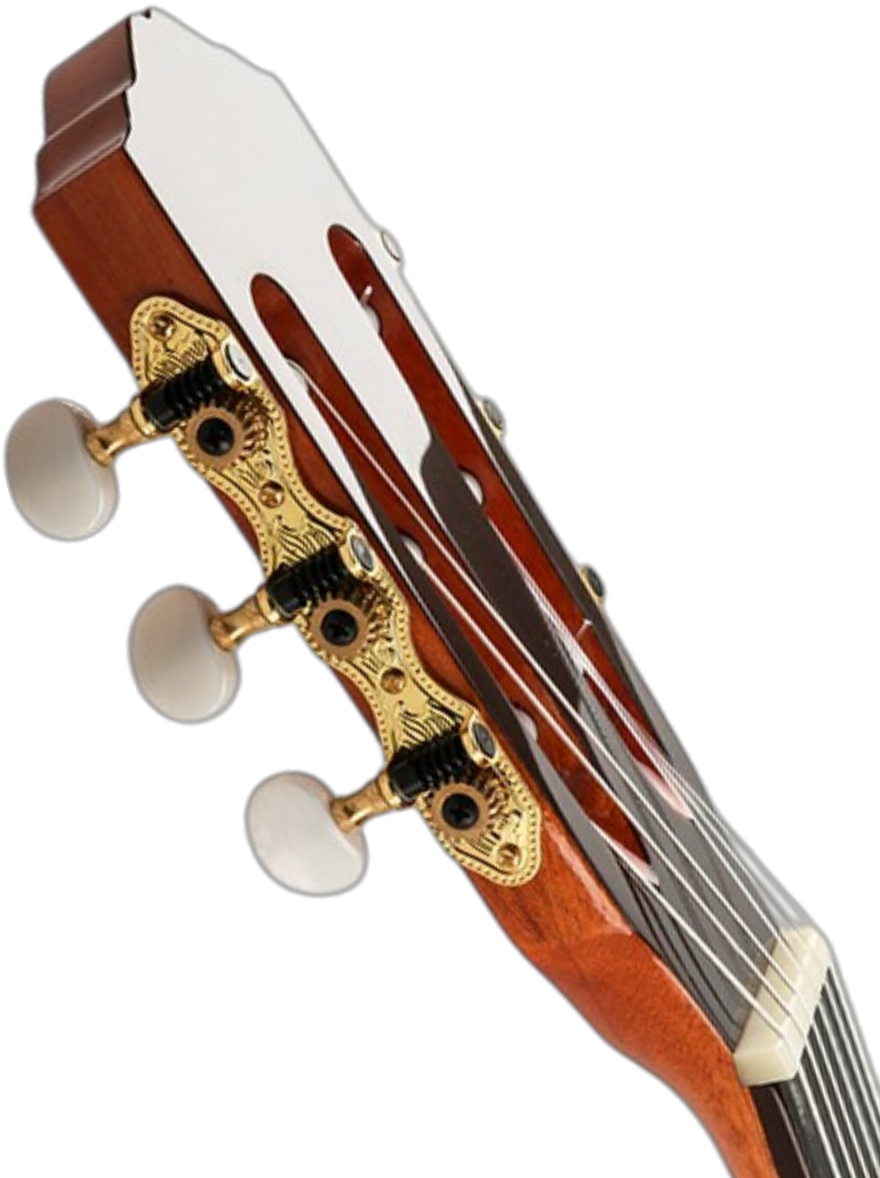 The Amber Resonance: A Study in Mahogany and Cedar