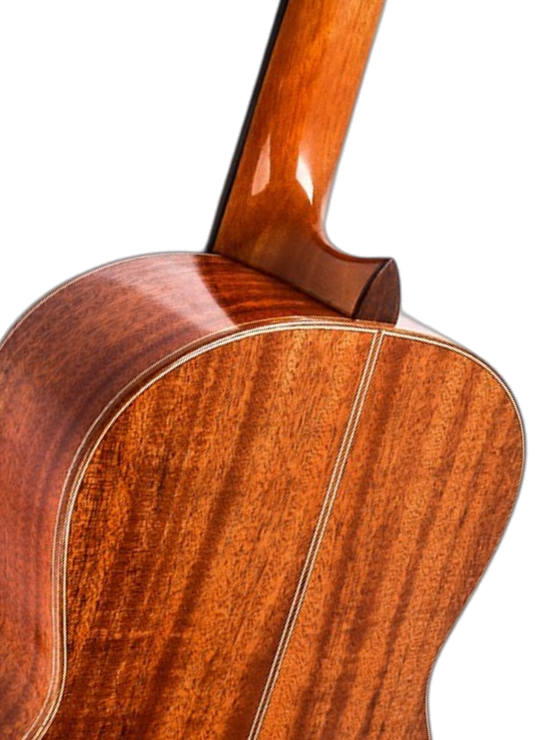 The Amber Resonance: A Study in Mahogany and Cedar