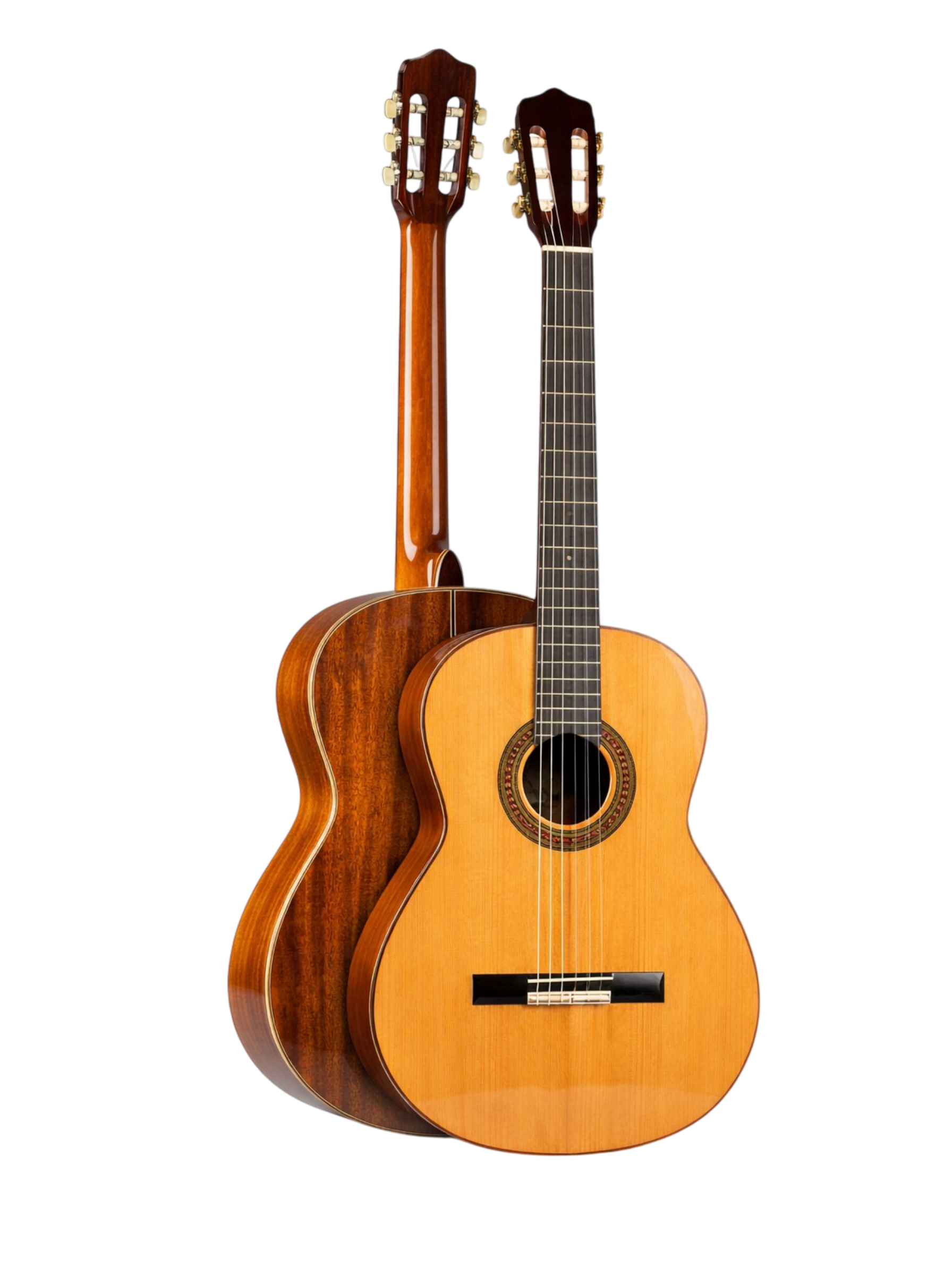 The Amber Resonance: A Study in Mahogany and Cedar