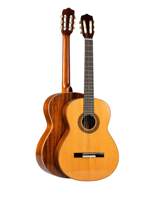 The Amber Resonance: A Study in Mahogany and Cedar