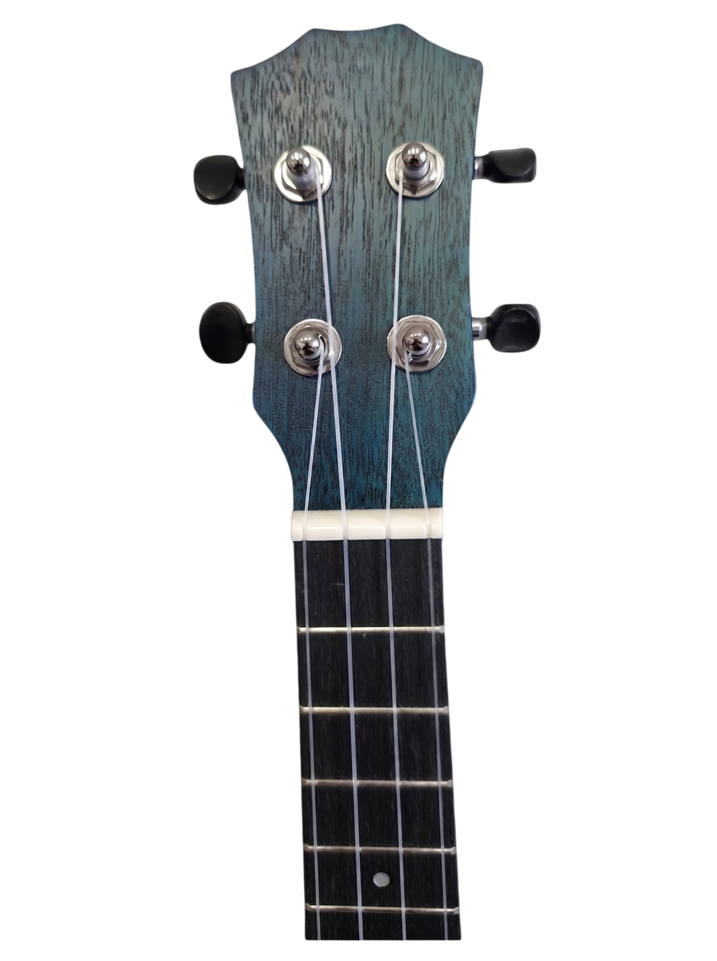 The Azure Blossom: A Tropical Symphony in Blue