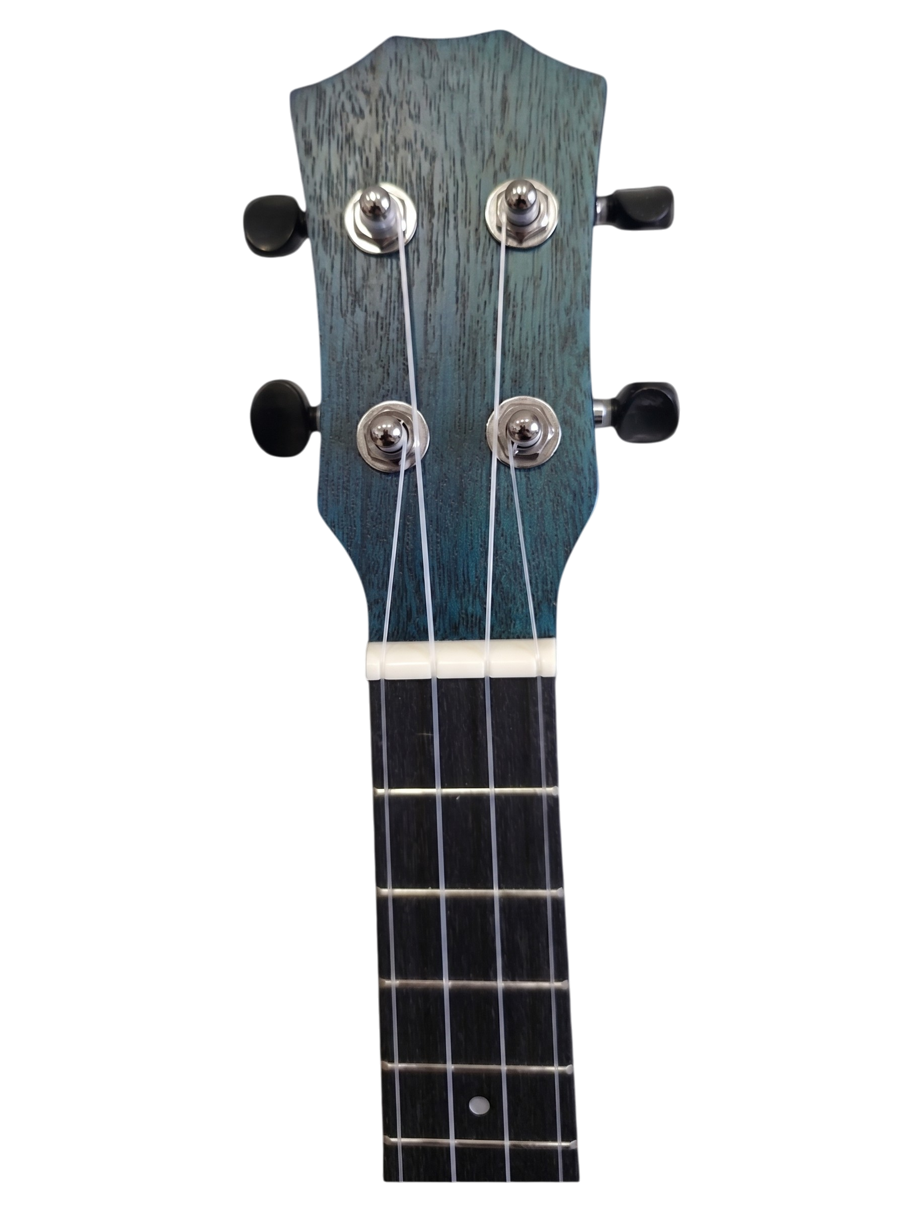 The Azure Blossom: A Tropical Symphony in Blue