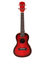 The Crimson Solstice: A Pocket-Sized Passion