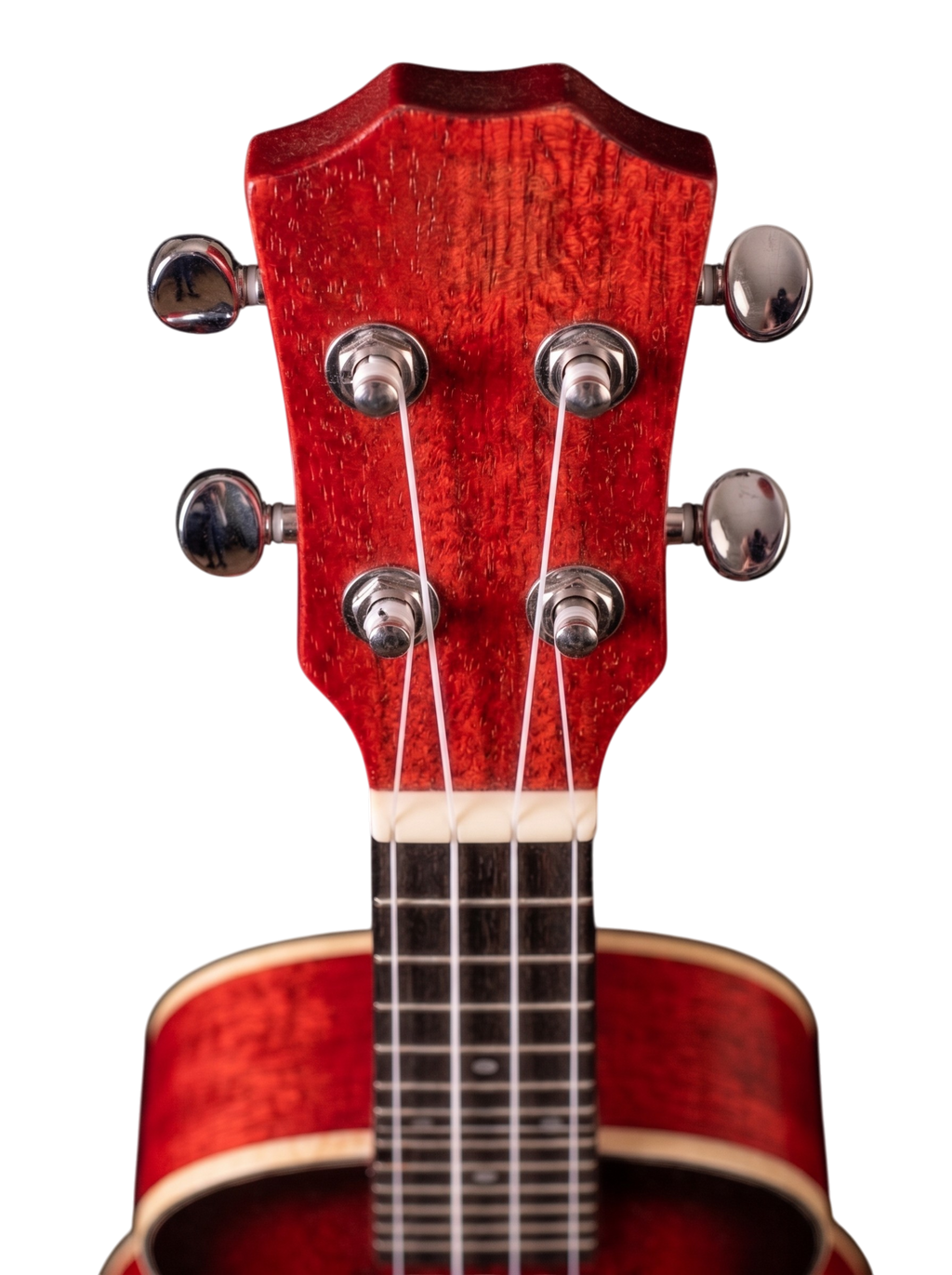 The Crimson Solstice: A Pocket-Sized Passion