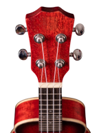 The Crimson Solstice: A Pocket-Sized Passion