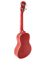 The Crimson Solstice: A Pocket-Sized Passion