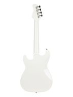 The Alabaster Edge: Clinical Precision, Infinite Roar