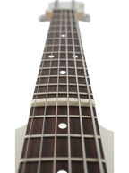 The Alabaster Edge: Clinical Precision, Infinite Roar