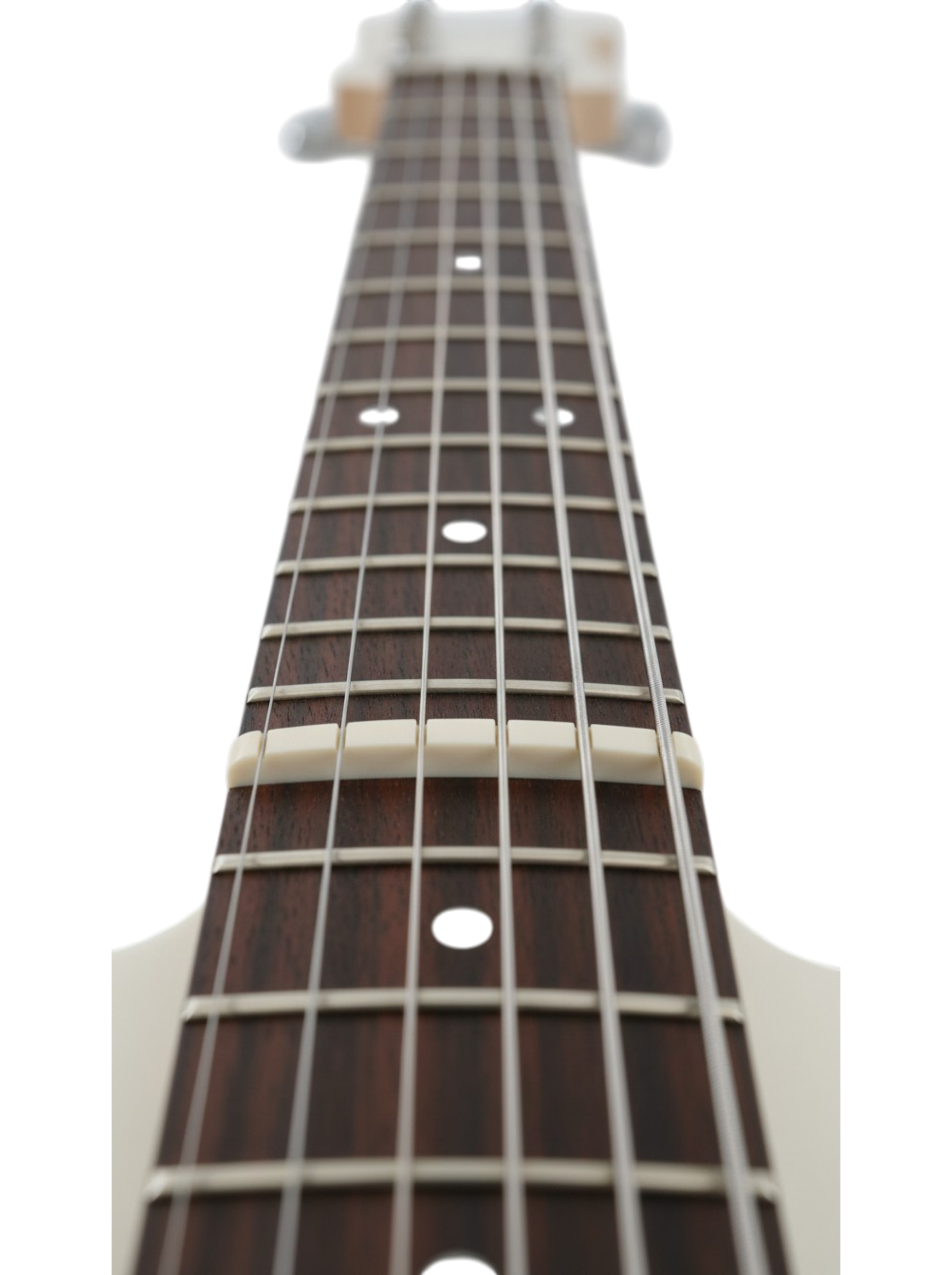 The Alabaster Edge: Clinical Precision, Infinite Roar