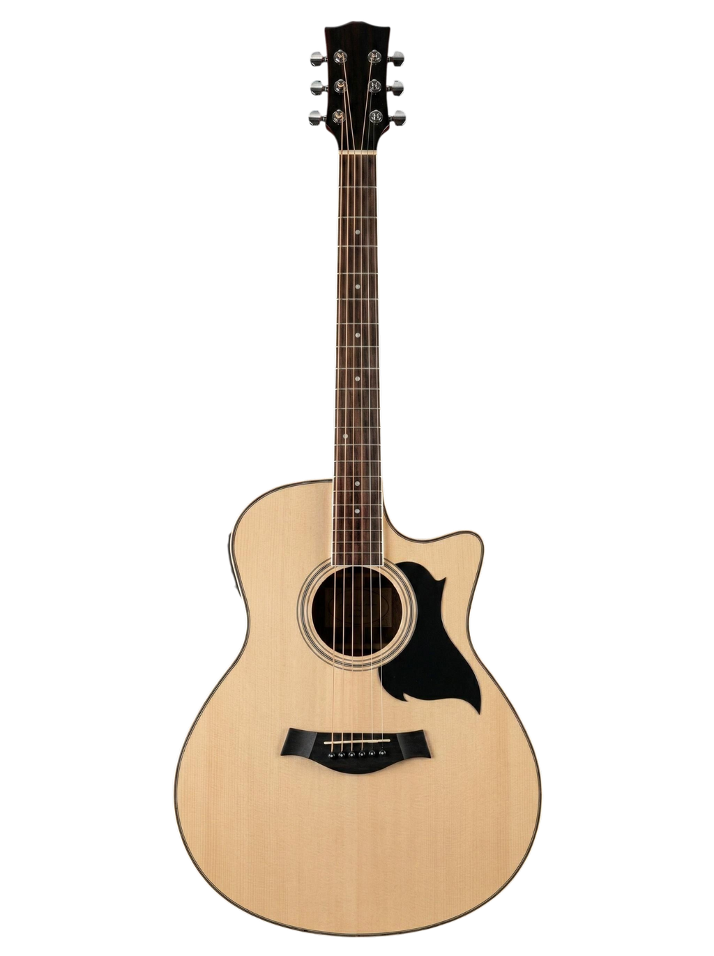 The Harmonic Horizon: A Synthesis of Organic Tone and Electric Versatility