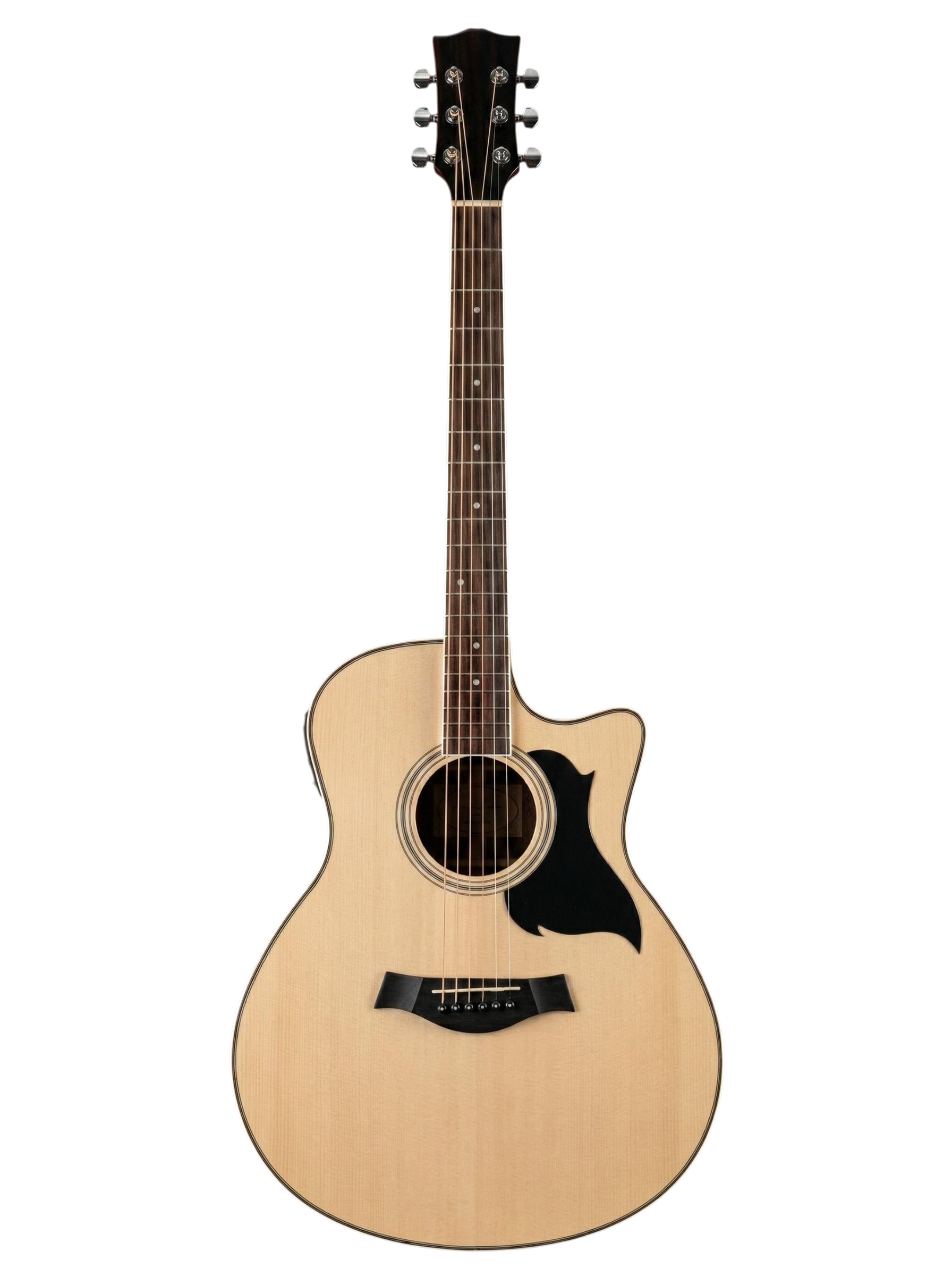 The Harmonic Horizon: A Synthesis of Organic Tone and Electric Versatility