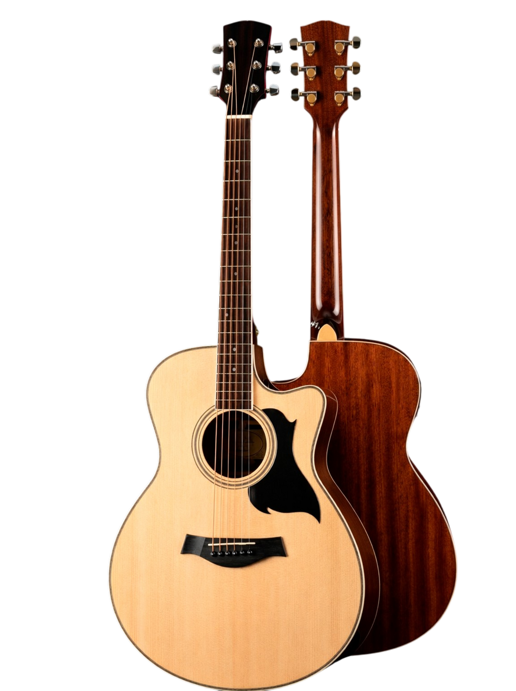 The Harmonic Horizon: A Synthesis of Organic Tone and Electric Versatility