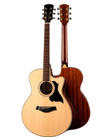 The Harmonic Horizon: A Synthesis of Organic Tone and Electric Versatility