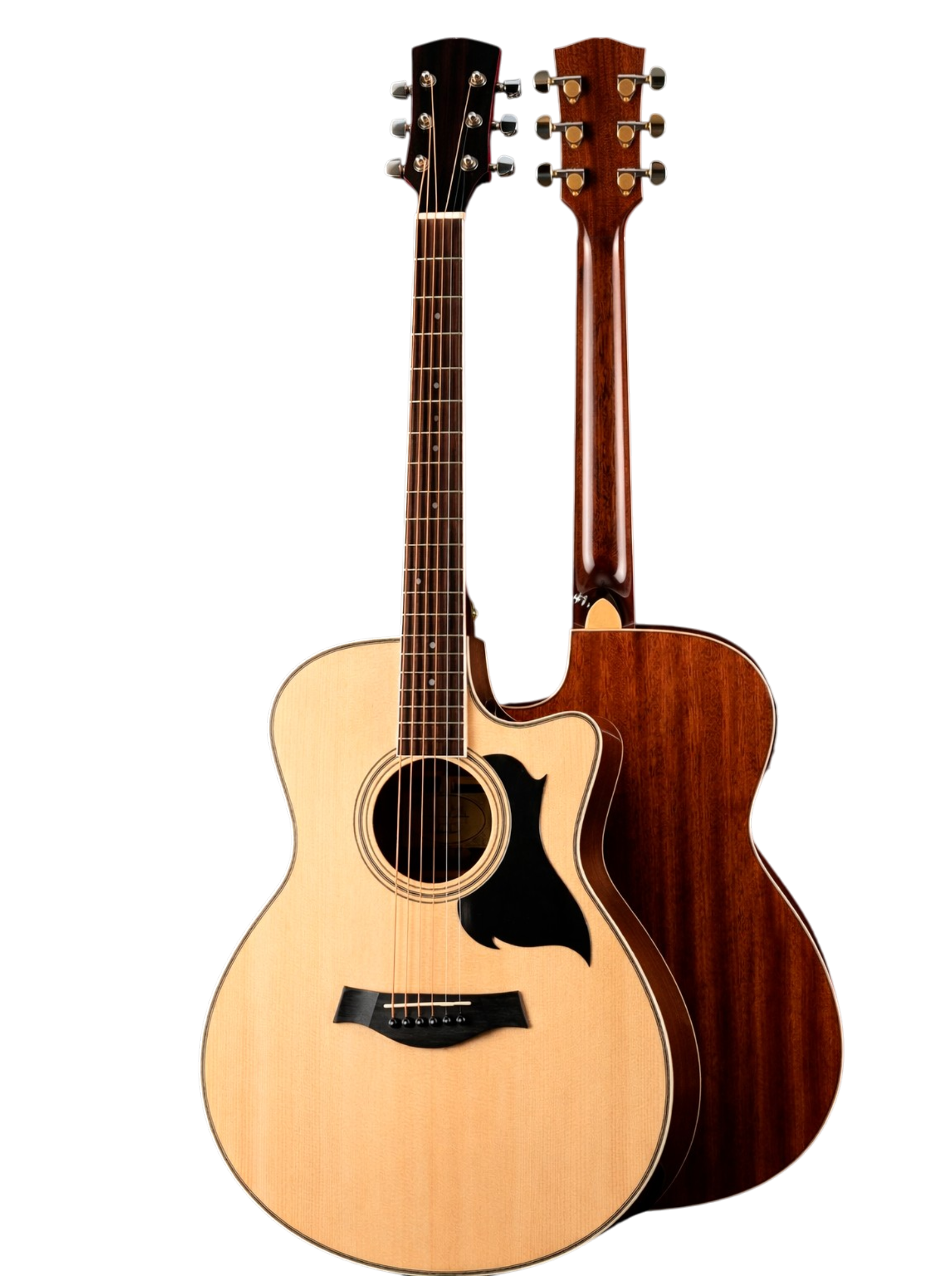 The Harmonic Horizon: A Synthesis of Organic Tone and Electric Versatility