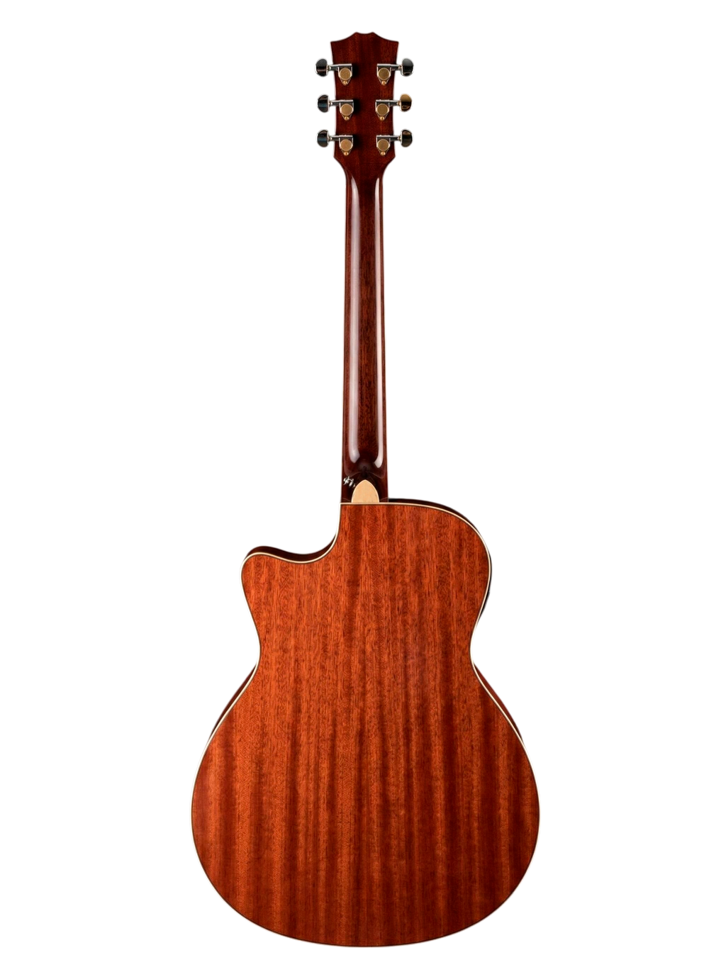 The Harmonic Horizon: A Synthesis of Organic Tone and Electric Versatility
