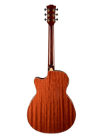 The Harmonic Horizon: A Synthesis of Organic Tone and Electric Versatility