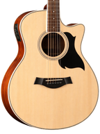 The Harmonic Horizon: A Synthesis of Organic Tone and Electric Versatility