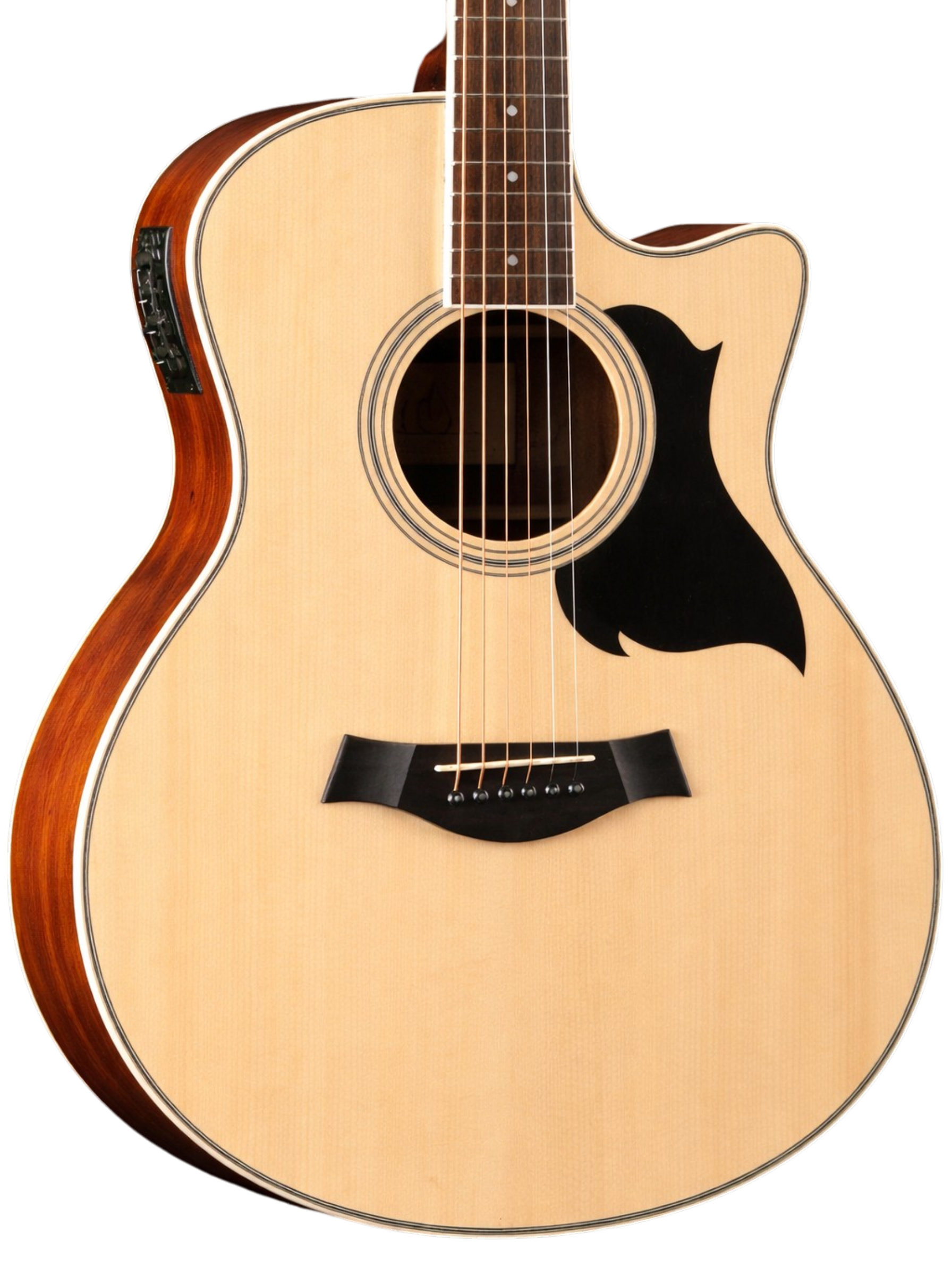 The Harmonic Horizon: A Synthesis of Organic Tone and Electric Versatility