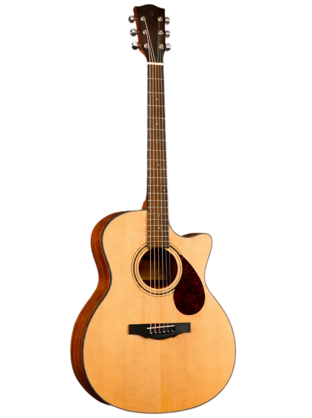 The Soloist Edition: Grand Auditorium Cutaway with Tortoise Accents