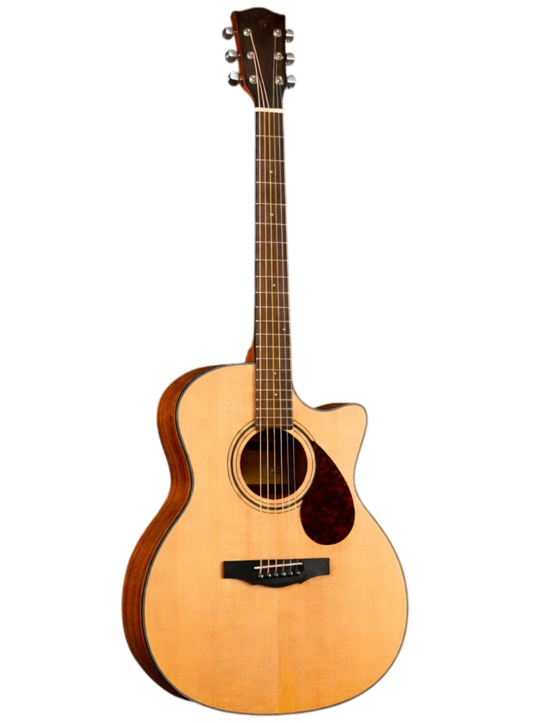 The Soloist Edition: Grand Auditorium Cutaway with Tortoise Accents