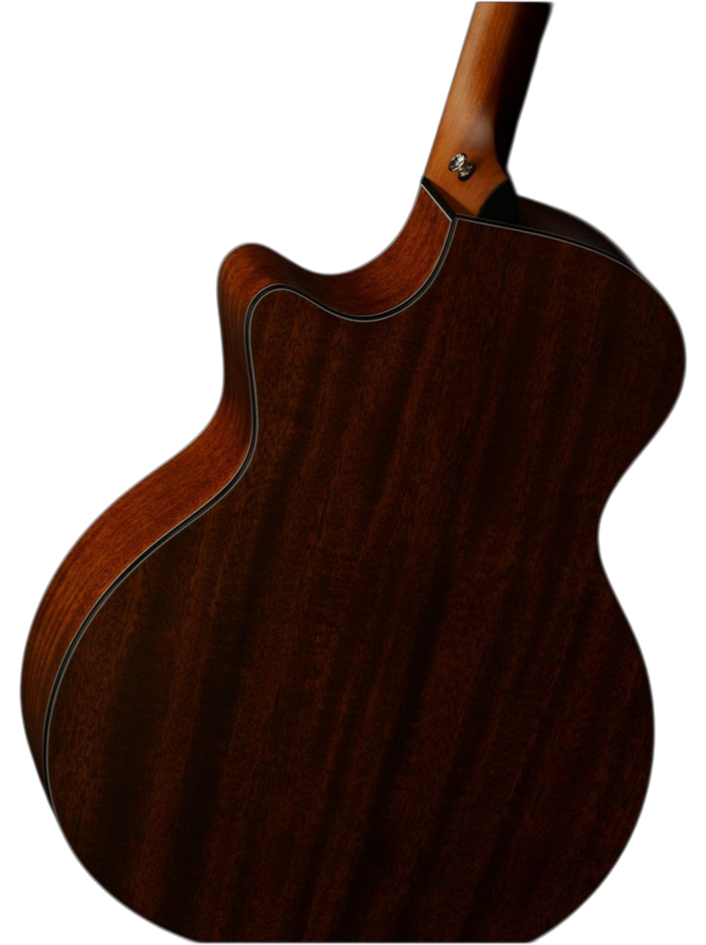 The Soloist Edition: Grand Auditorium Cutaway with Tortoise Accents