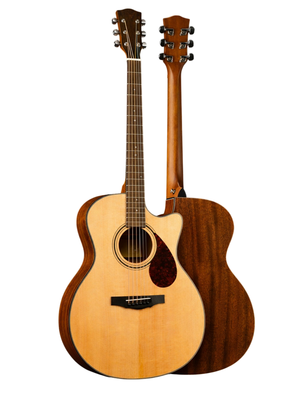 The Soloist Edition: Grand Auditorium Cutaway with Tortoise Accents